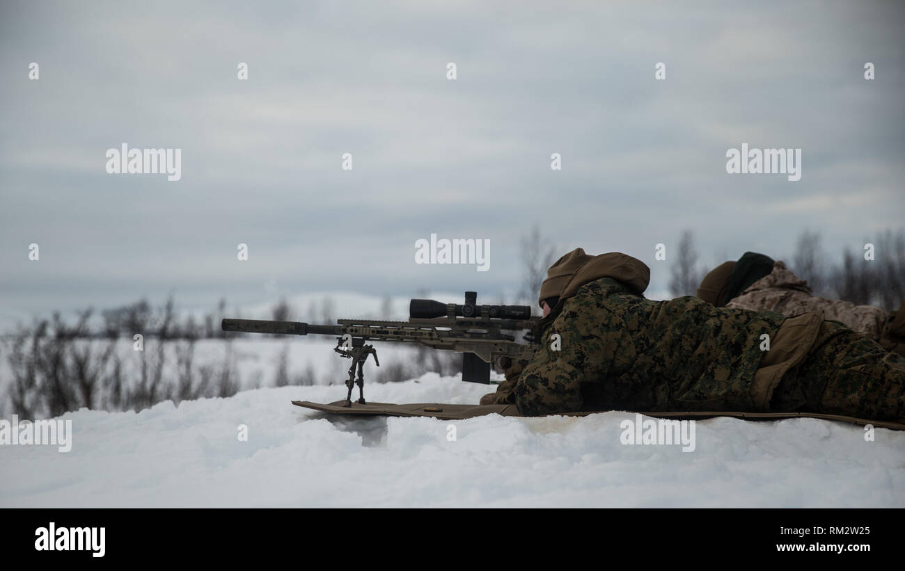 A U.S. Marine with Marine Rotational Force-Europe 19.1, Marine Forces Europe and Africa, aims at a target in Setermoen, Norway, Feb. 8, 2019. This training increased MRF-E Marines’ proficiency at cold-weather and mountain-warfare tactical operations in cold-weather environments. (U.S. Marine Corps photo by Cpl. Nghia Tran) Stock Photo