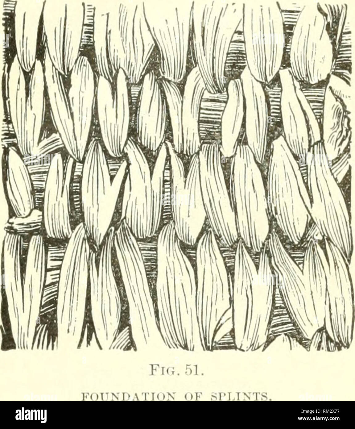 Annual report of the Board of Regents of the Smithsonian 