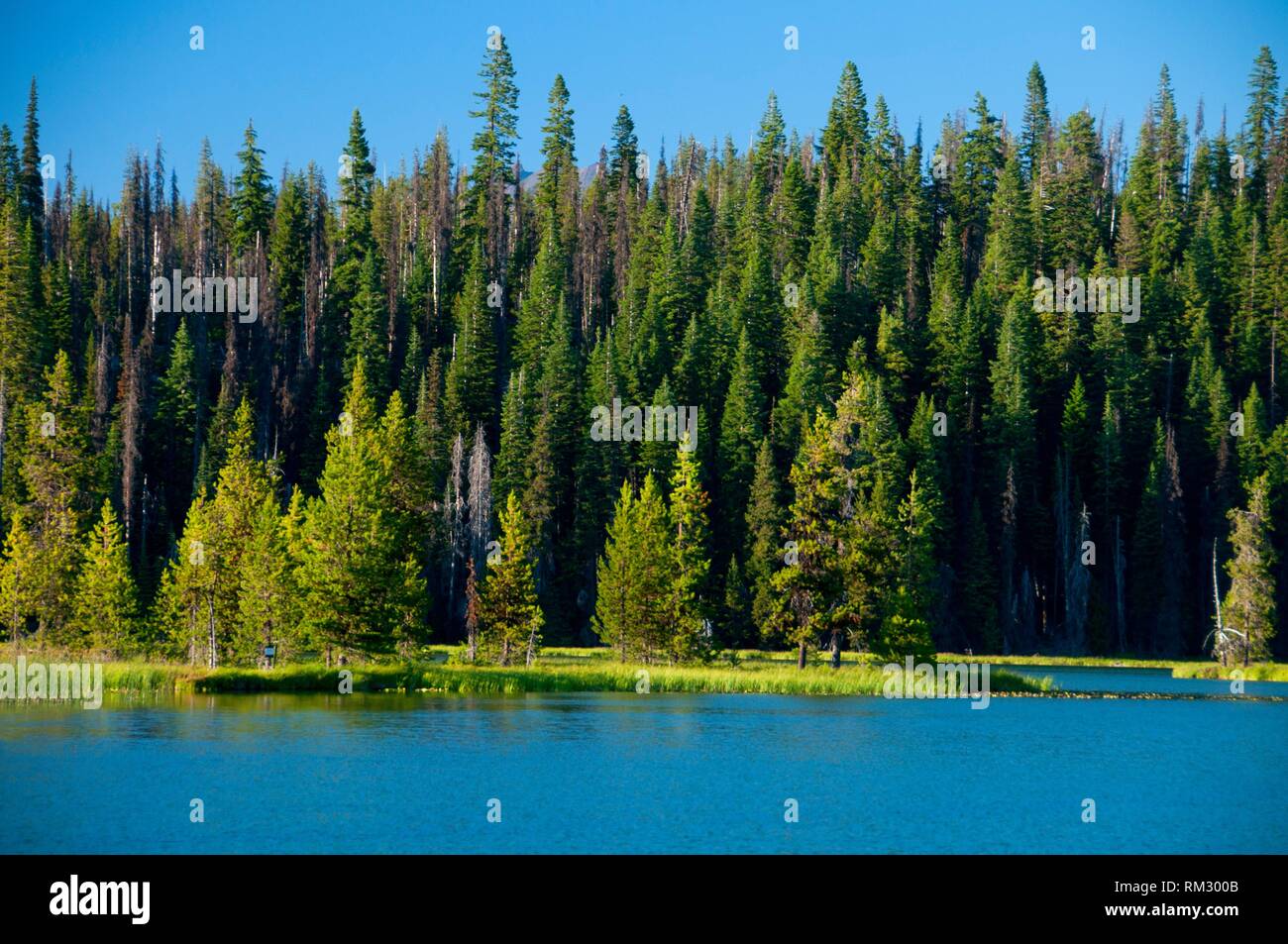 Hosmer Lake, Cascade Lakes National Scenic Byway, Deschutes National Forest, Oregon. Stock Photo