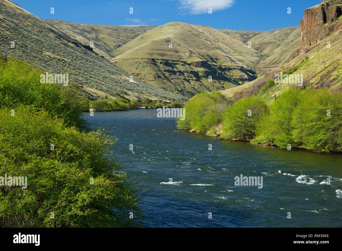 Lower deschutes river national back country byway hires stock