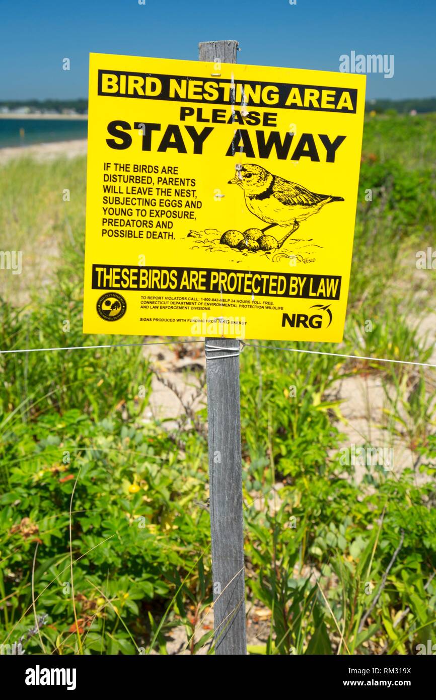 Endangered bird keep out sign, Bluff Point State Park, Connecticut
