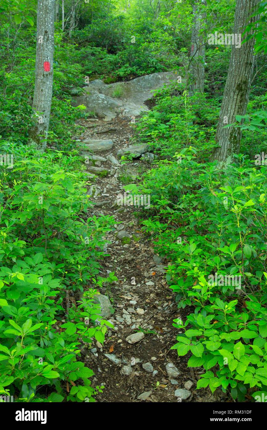 Tri Image High Resolution Stock Photography And Images Alamy