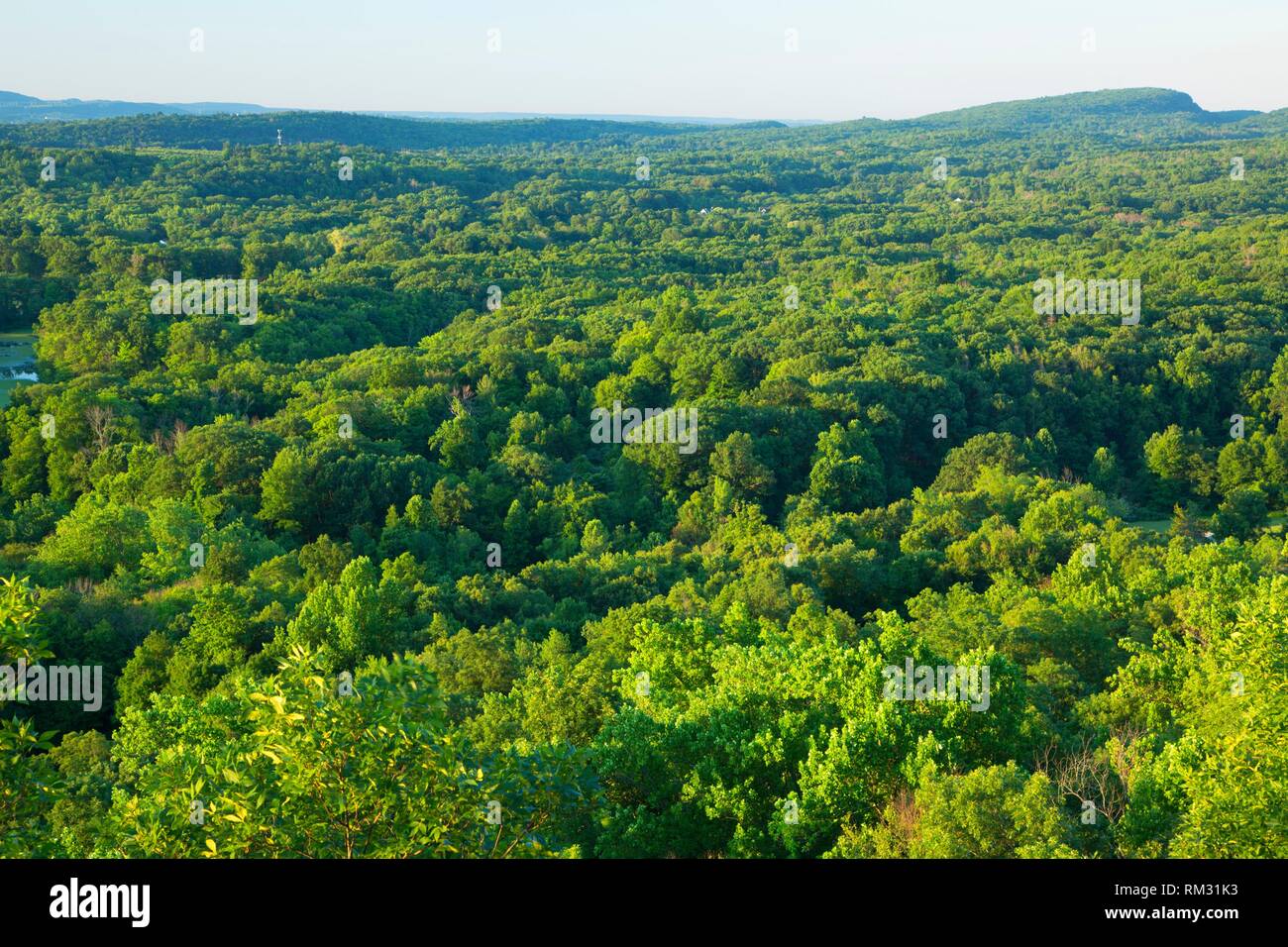 View from trail, Ragged Mountain Preserve, Connecticut. Stock Photo