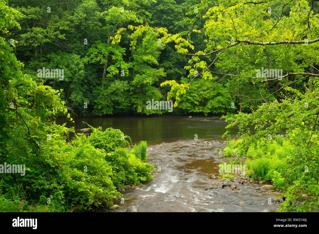 Burlington Brook, Farmington River Trail, Burlington, Connecticut Stock