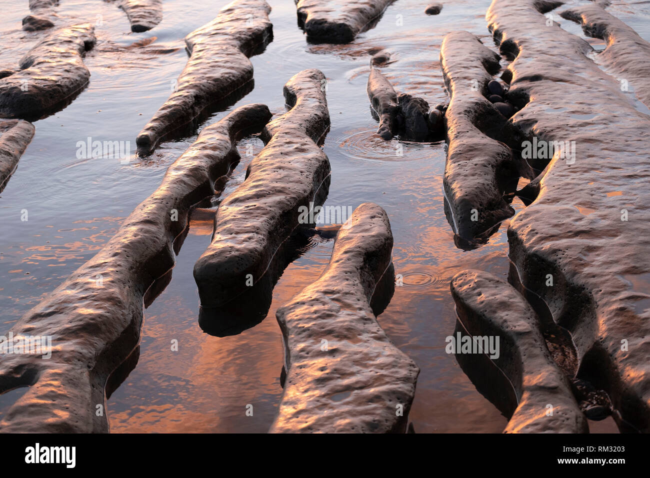 Tide pools as seen at low tide near San Diego California Stock Photo