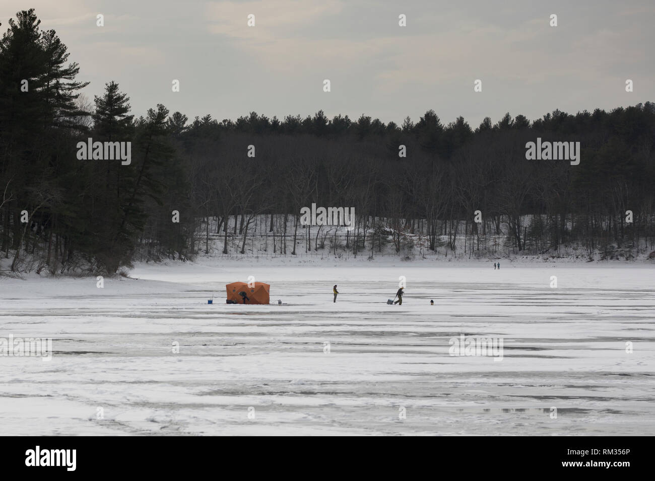 Walden pond massachusetts hires stock photography and images Alamy