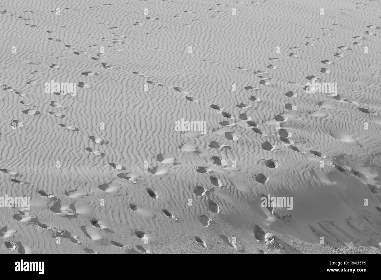 Landscape image of footprints in the sand Stock Photo Alamy