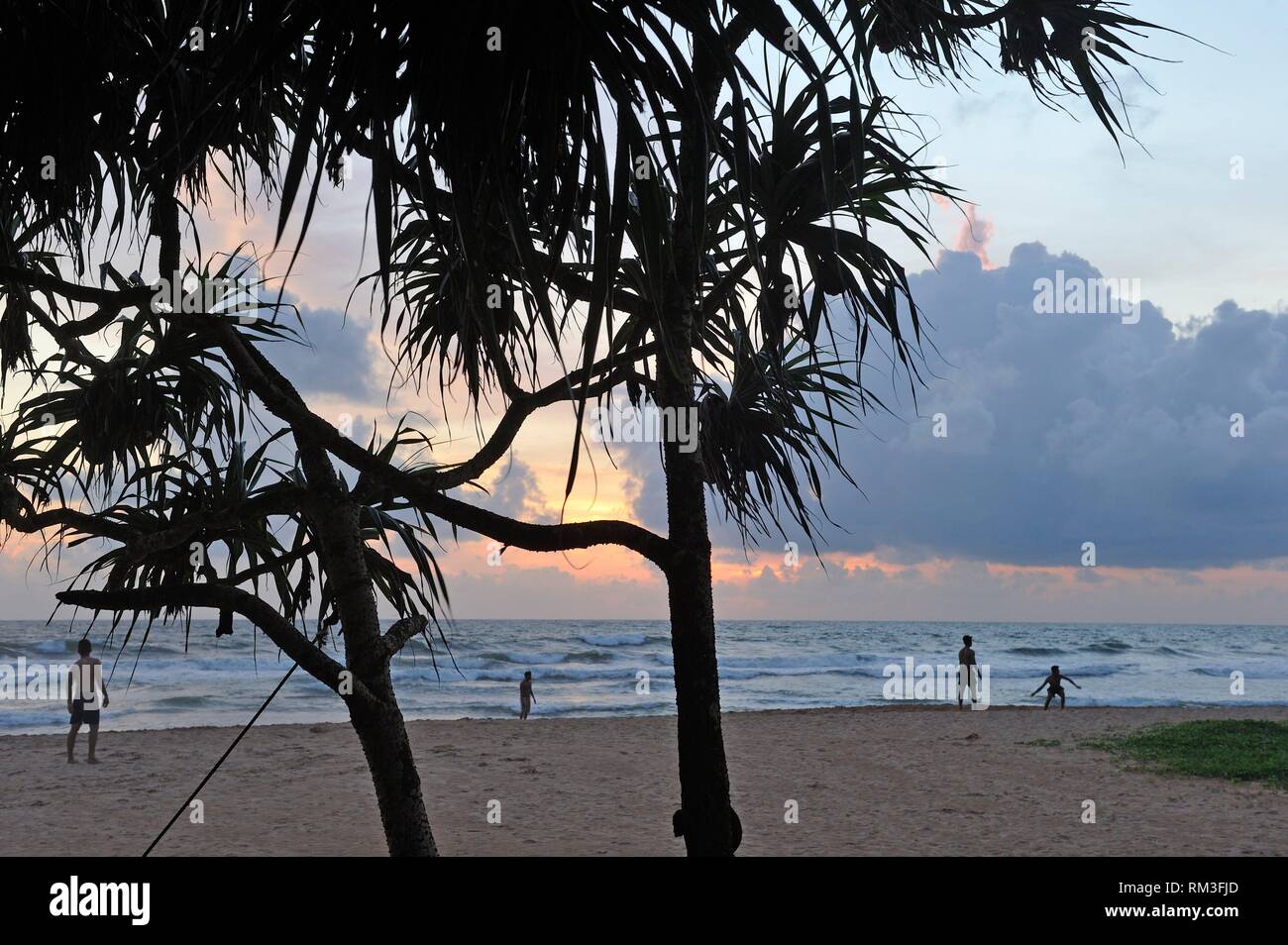 beach at sunset, Bentota, Galle District, Southern Province, Sri Lanka, Indian subcontinent, South Asia. Stock Photo