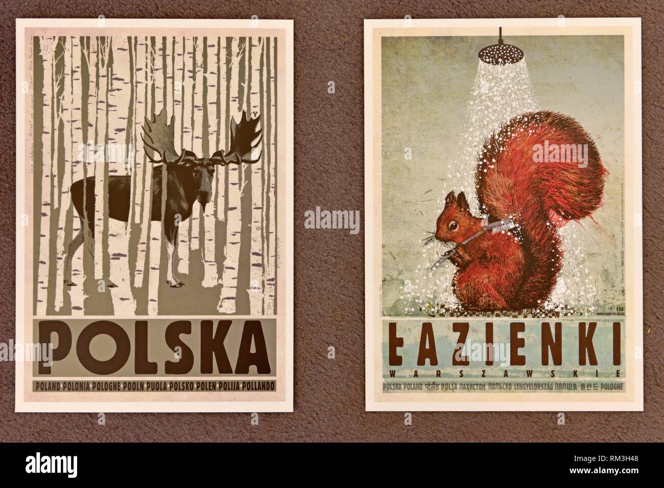 reproduction of posters by Ryszard Kaja, Plakatu gallery, Stolarska street,  Krakow, Malopolska Province (Lesser Poland), Poland, Central Europe Stock  Photo - Alamy