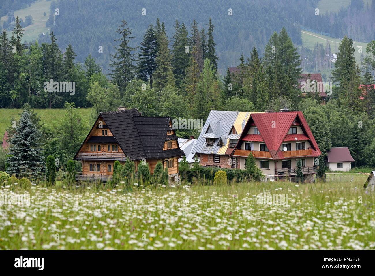 maisons de style Zakopane dans la campagne autour de Zakopane, region