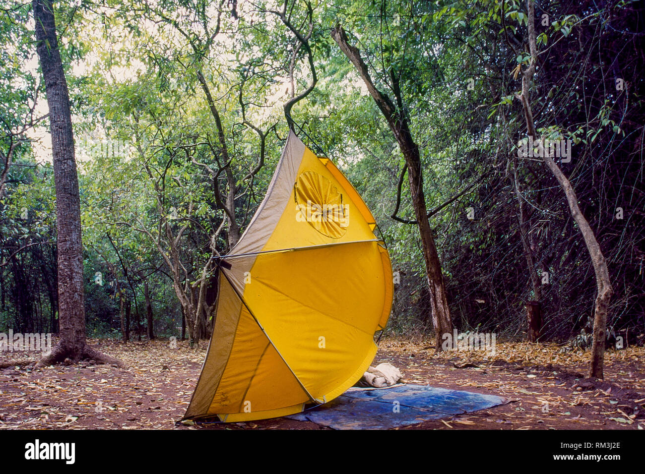 Camping Tent, Sanjay Gandhi National Park, Mumbai, Maharashtra, India