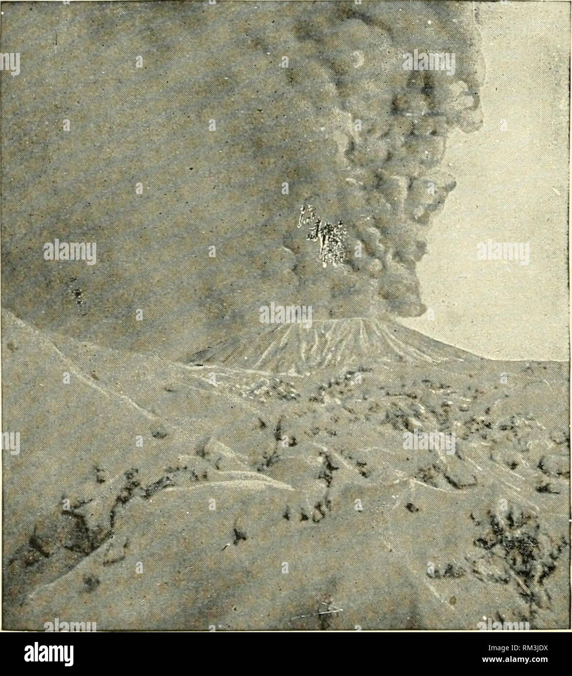 Boscotrecase hires stock photography and images Alamy