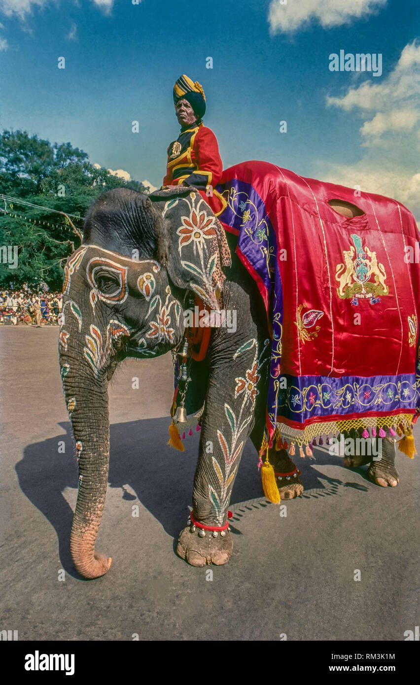 Mysore Dasara elephant procession, Mysuru, Karnataka, India, Asia Stock