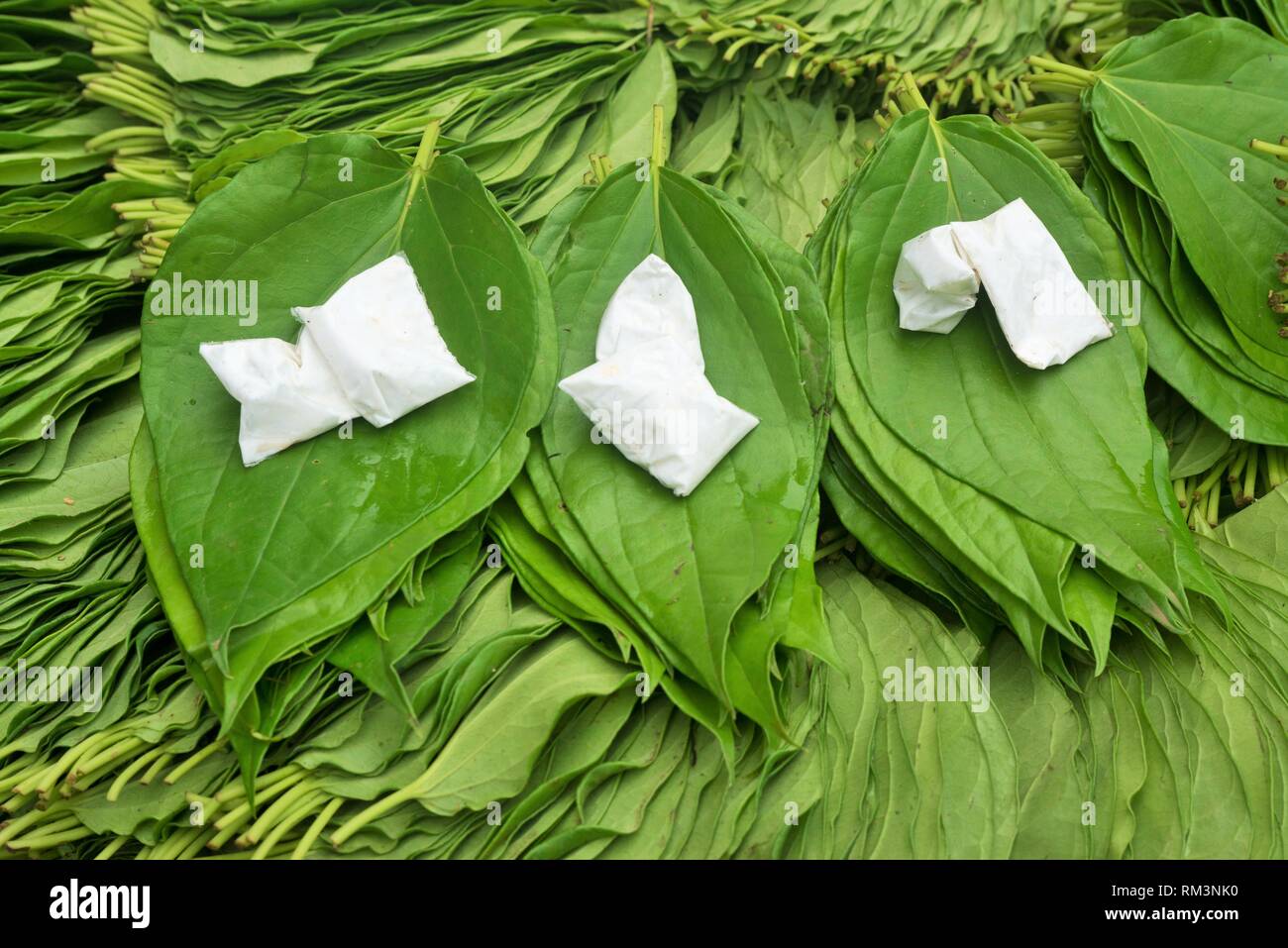 Betel leaves and Chuna Lime stone powder, Pune, Maharashtra, India, Asia Stock Photo