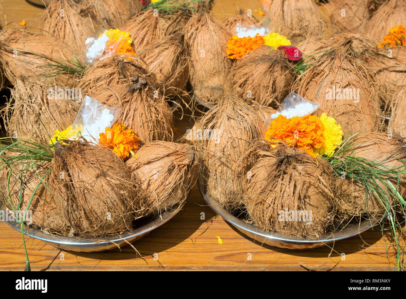 Pooja plate of coconuts, Ganapati festival, Pune, Maharashtra, India