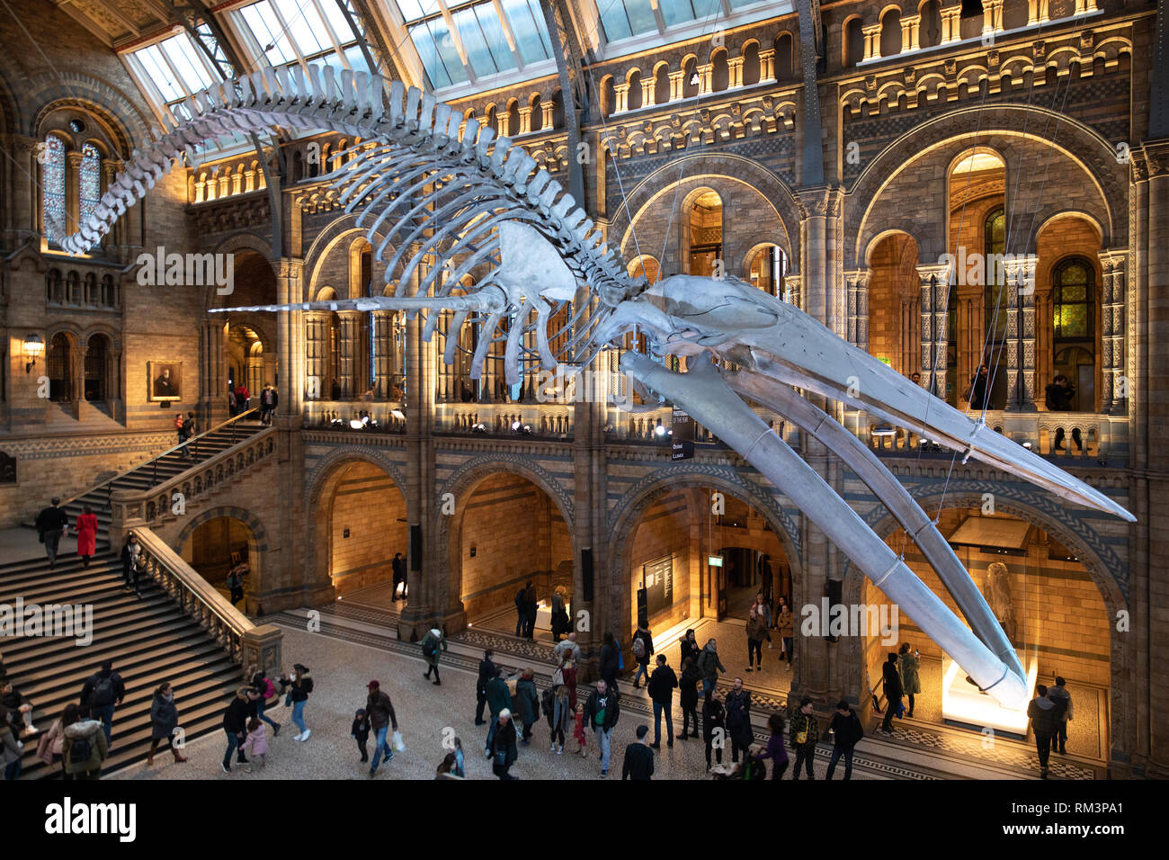 The Natural History Museum, London, Uk Stock Photo