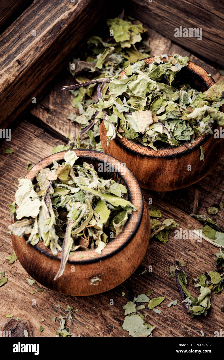 Dry leaves of coltsfoot on wooden background.Tussilago farfara.Medicinal plants Stock Photo
