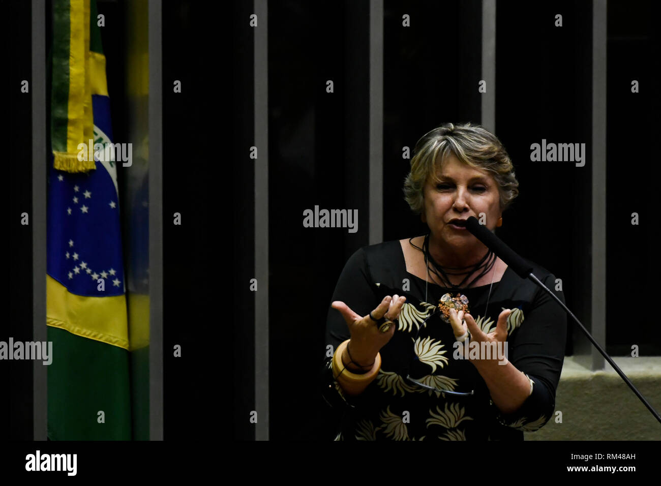 DF - Brasilia - 02/13/2019 - Plenary Session of the Chamber of Deputies - Erika Kokay, PT DF, this Wednesday, February 13, during the Plenary Session held in the Plenary of the Chamber of Deputies. Photo: Mateus Bonomi / AGIF Stock Photo