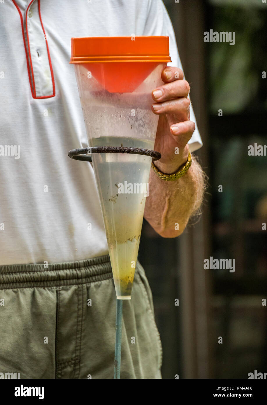 Person checking the reading of rainfall measured in a rain gauge image