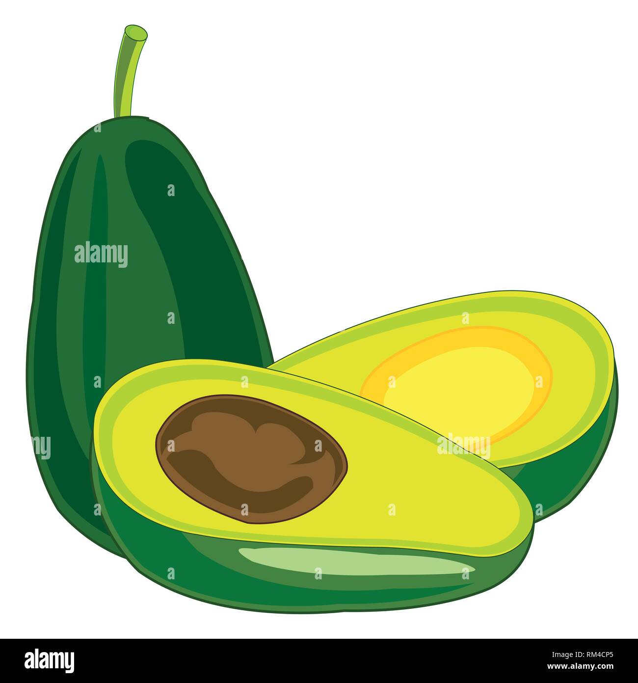 Fruit tree avocado on white background is insulated Stock Vector