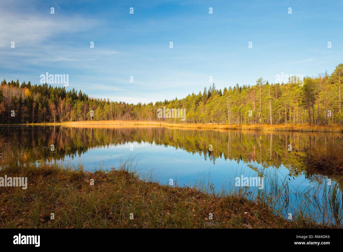 Serene marsh landscape hi-res stock photography and images - Alamy