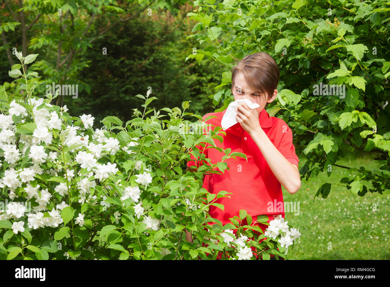 Teenager boy with seasonal influenza blowing his nose on a tissue in a