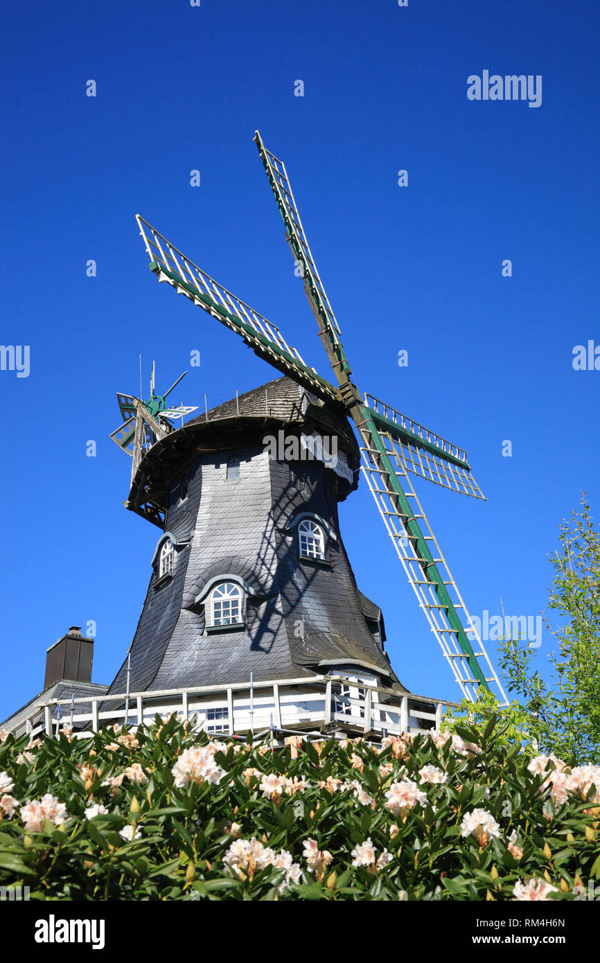 Windmill in Garlstorf, Lüneburger Heide, Lower Saxony, Germany, Europe Stock Photo