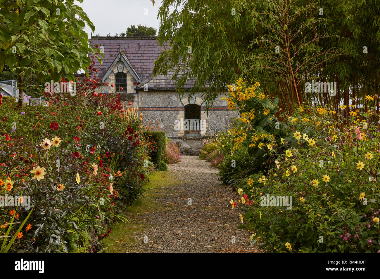 June Blake's Garden Ireland Stock Photo