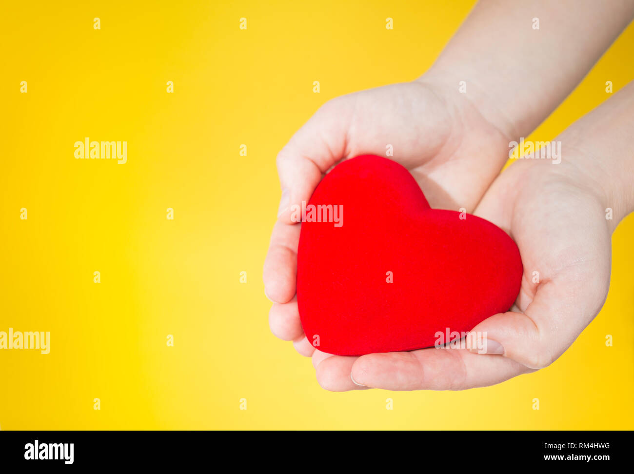 red heart is holding in hands on yellow Stock Photo