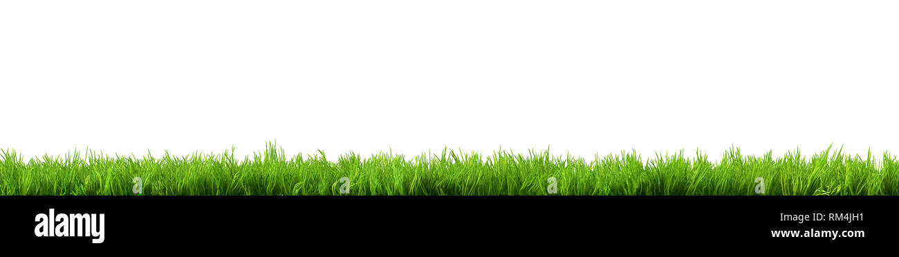 green grass isolated on white background Stock Photo
