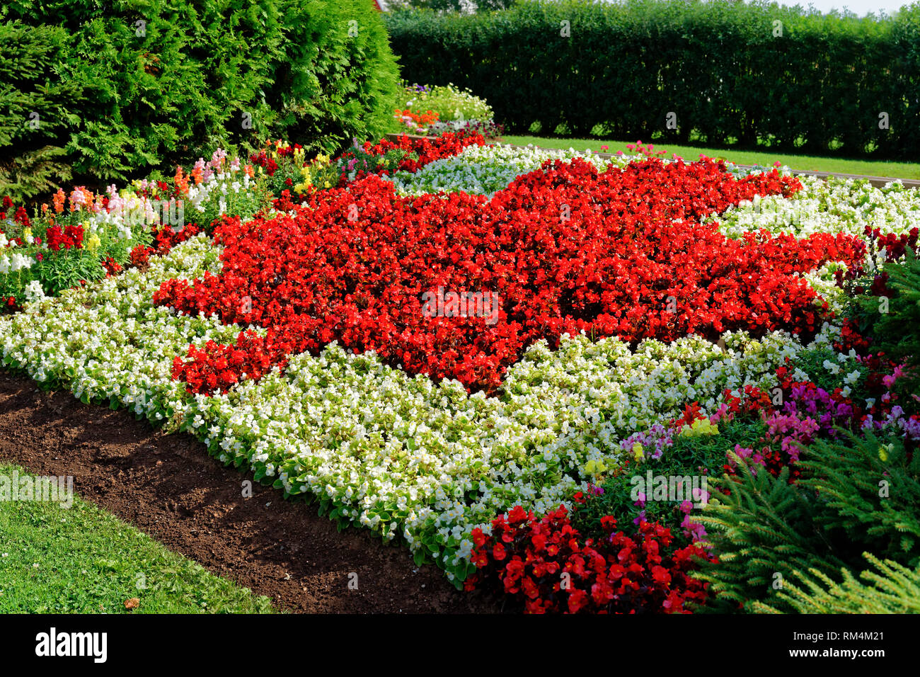 Begonia plants form a Canada flag flower bed. Stock Photo