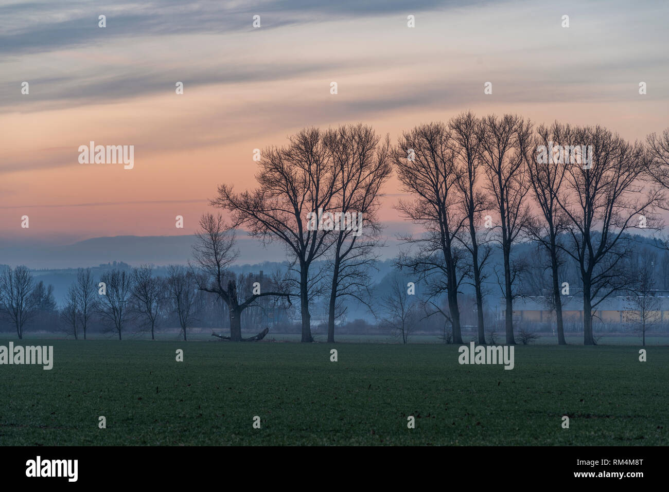 Morgenrot vor Sonnenaufgang im Winter Stock Photo