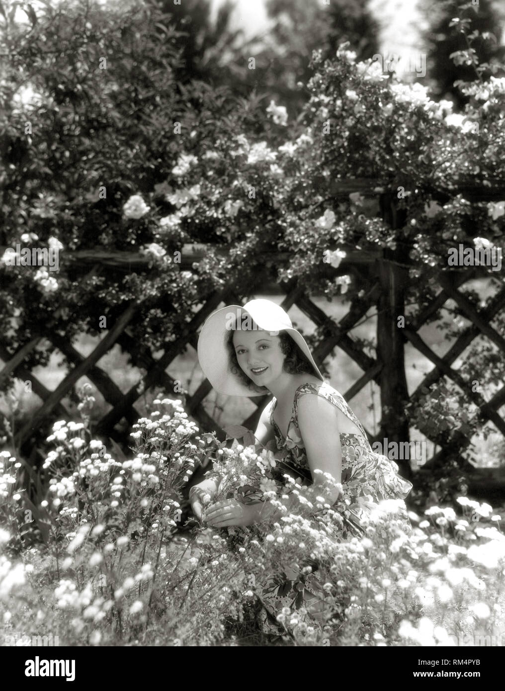Janet Gaynor, circa (1934) File Reference # 33751 193THA Stock Photo ...