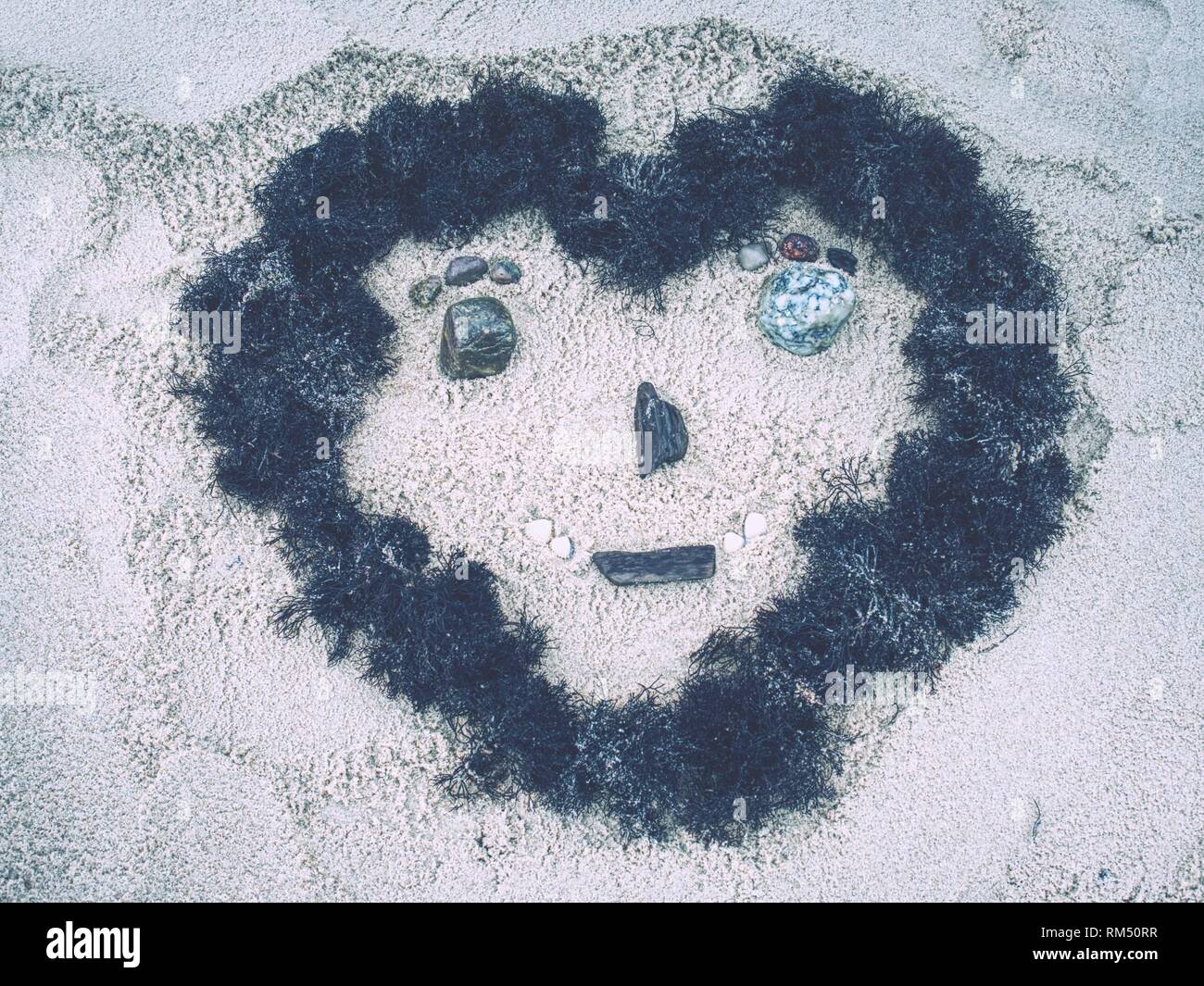 Face of funny man painted in sand with algae hair and contour Stock