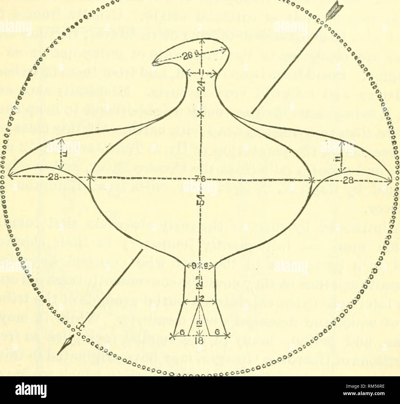 . Annual report of the Board of Regents of the Smithsonian Institution. Smithsonian Institution; Smithsonian Institution. Archives; Discoveries in science. ABORIGINAL STRUCTURES IN GEORGIA. 281 carved images or stuflPed skius of this regal bird. Kone among the Cberokees, save approved warriors, were permitted to wear its plumes. To this king of the feathered tribe were religious honors paid by the Natchez, who regarded its feathers not simply as ornaments and tro- l^hies, but as marks of dignity' and insignia of no common import. About a mile and a balf from Lawrence's Ferry, on the Oconee Riv Stock Photo