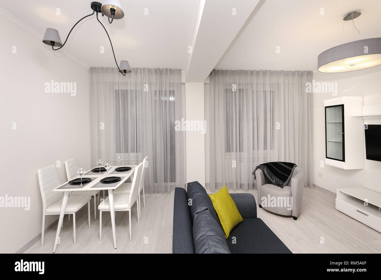 Modern white and gray living room interior Stock Photo - Alamy