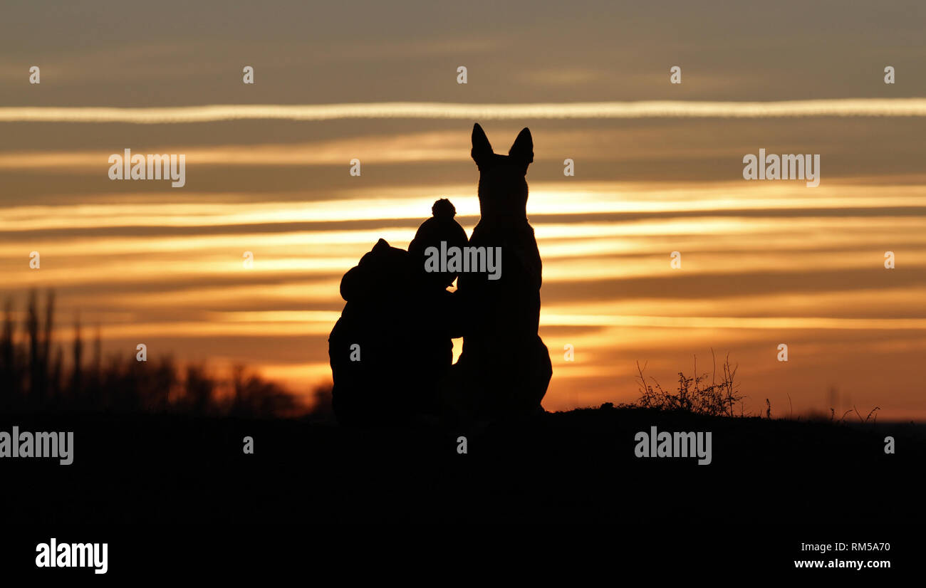 A touching photo of a baby boy and a dog of the breed Belgian Shepherd Malinois on the background of a beautiful sunset Stock Photo