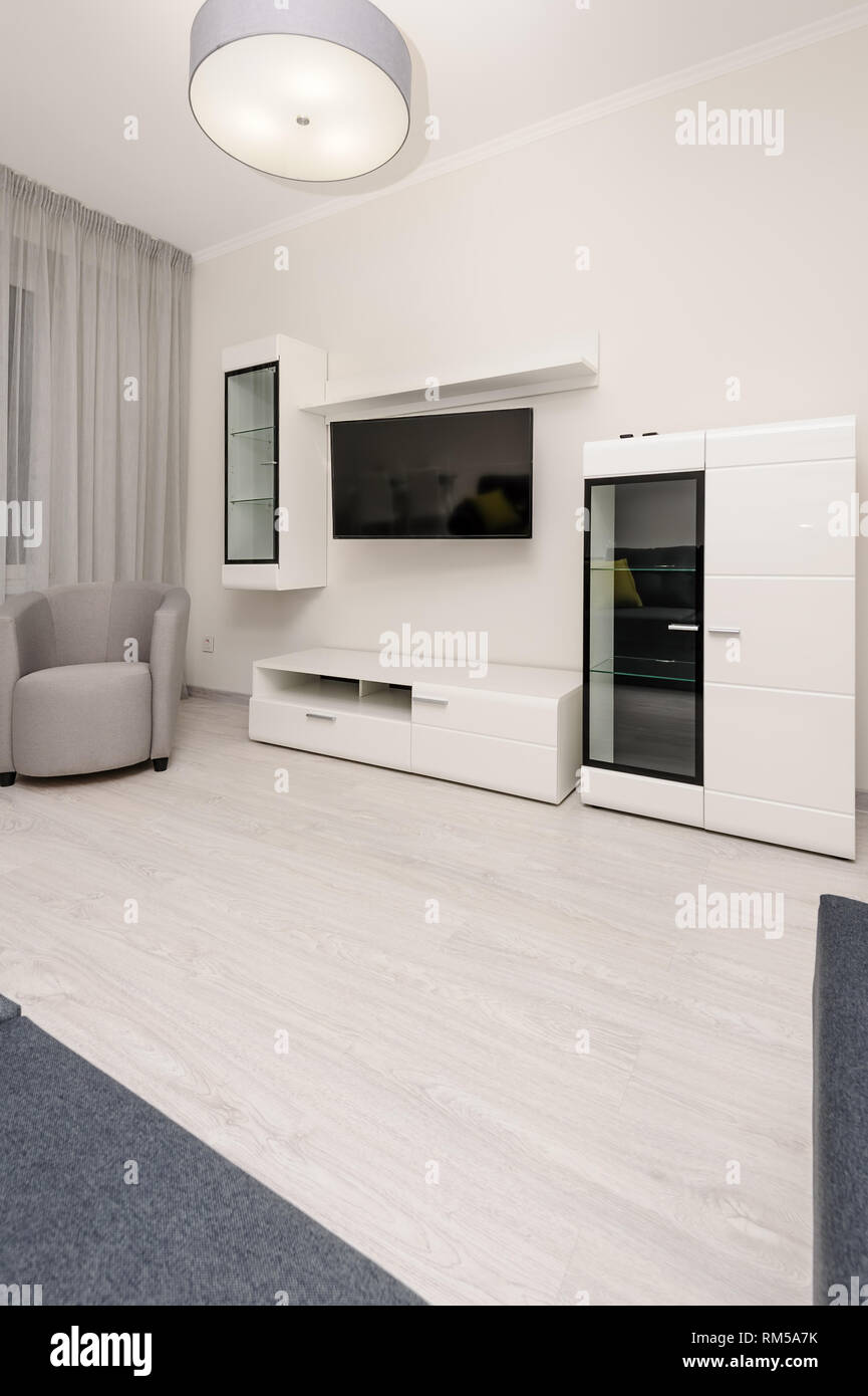 Modern white and gray living room interior Stock Photo - Alamy