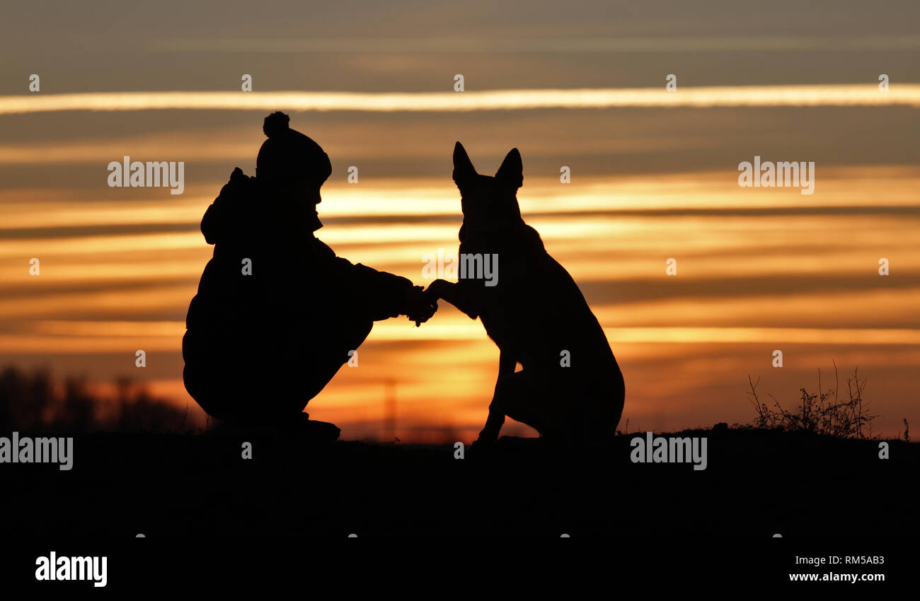 A touching photo of a baby boy and a dog of the breed Belgian Shepherd Malinois on the background of a beautiful sunset Stock Photo