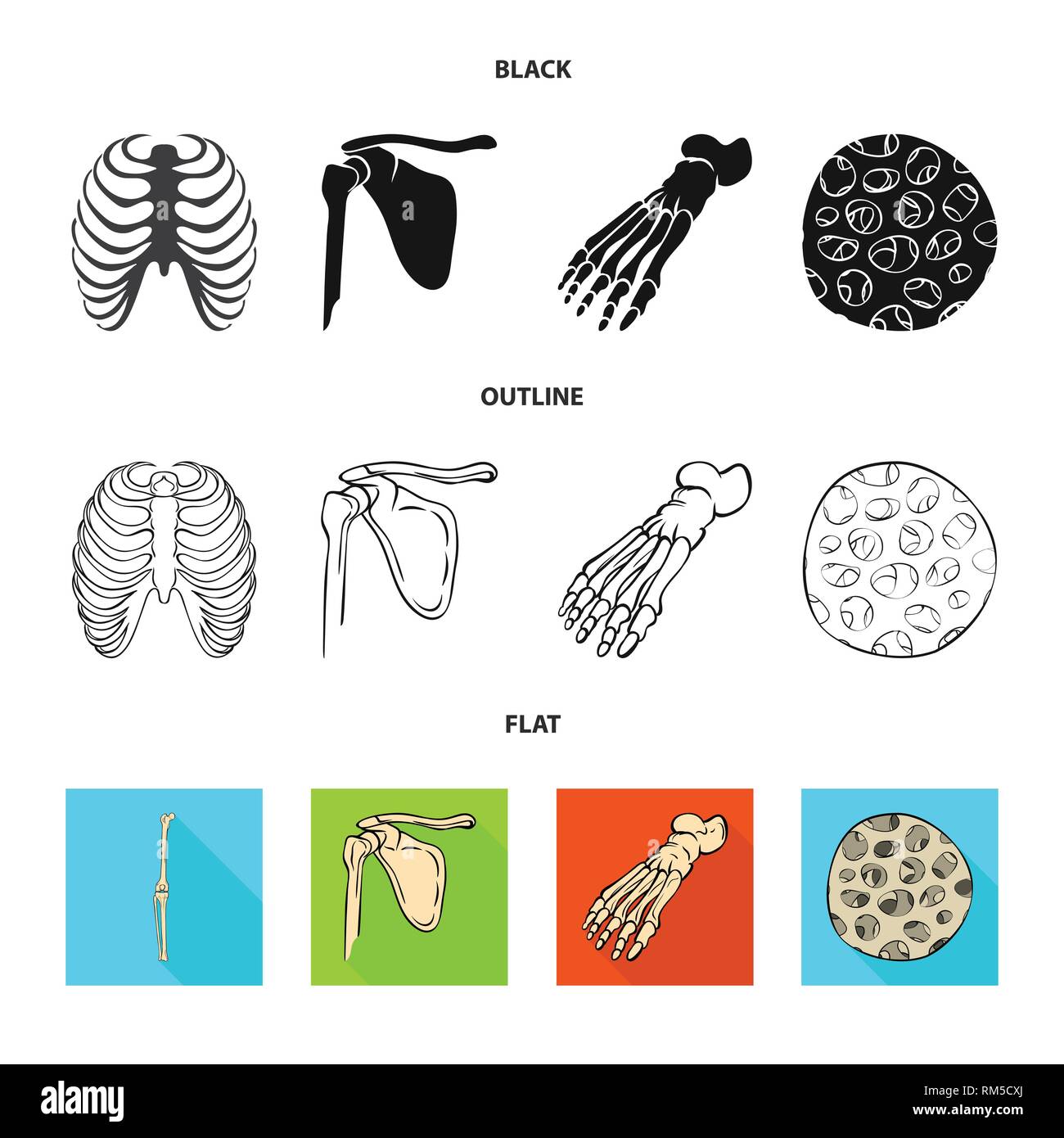 rib,femur,foot,fiber,cage,pelvis,ankle,healthy,xray,hip,scientific,body ...