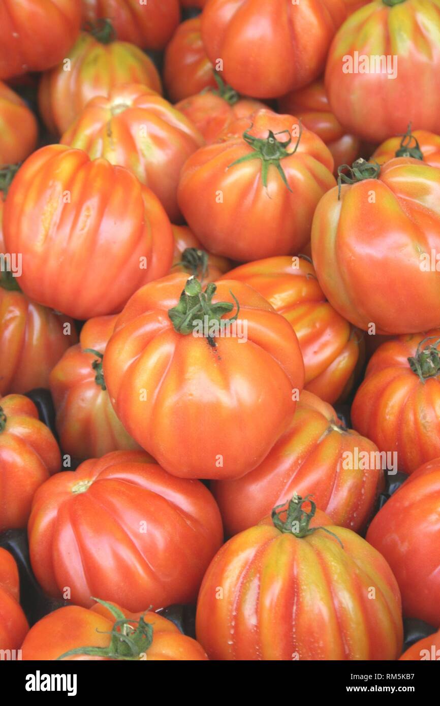 Beefsteak Tomatoes Stock Photo