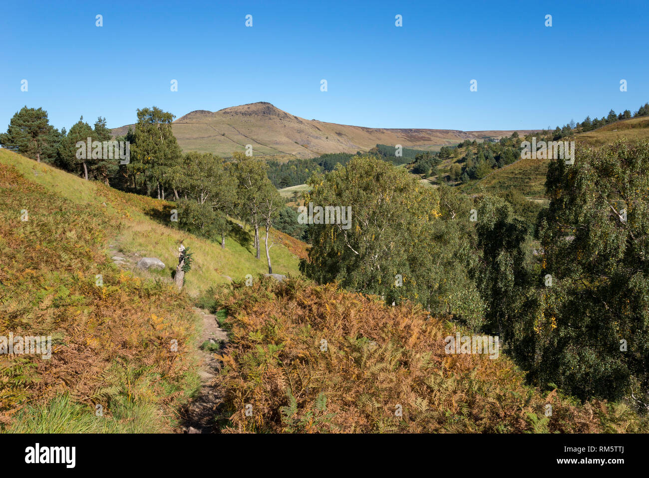 Path in the hills around Dove Stone reservoir, Greenfield, Peak District, England. Stock Photo