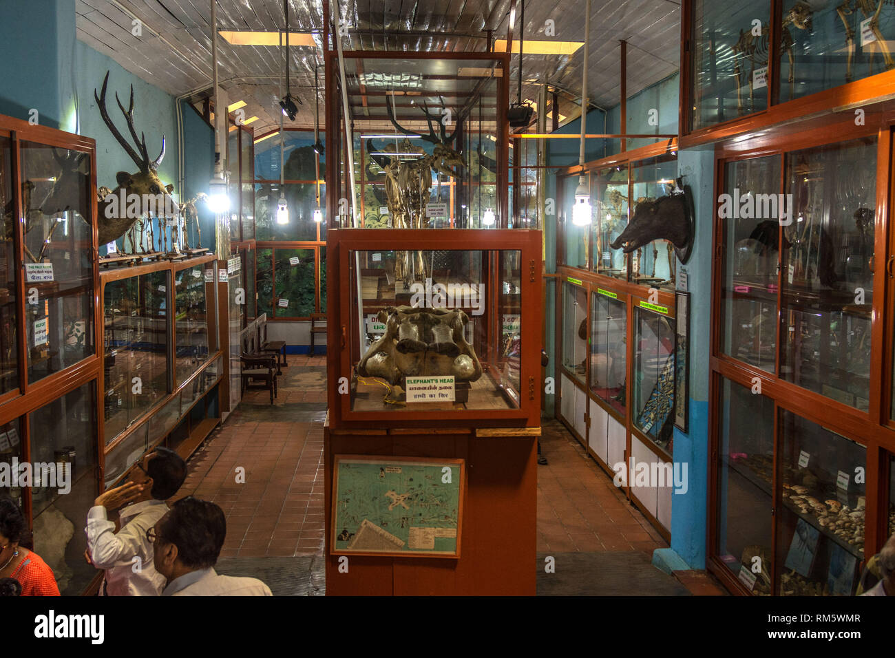 Shembaganur Museum, Kodaikanal, Tamil Nadu, India, Asia Stock Photo Alamy