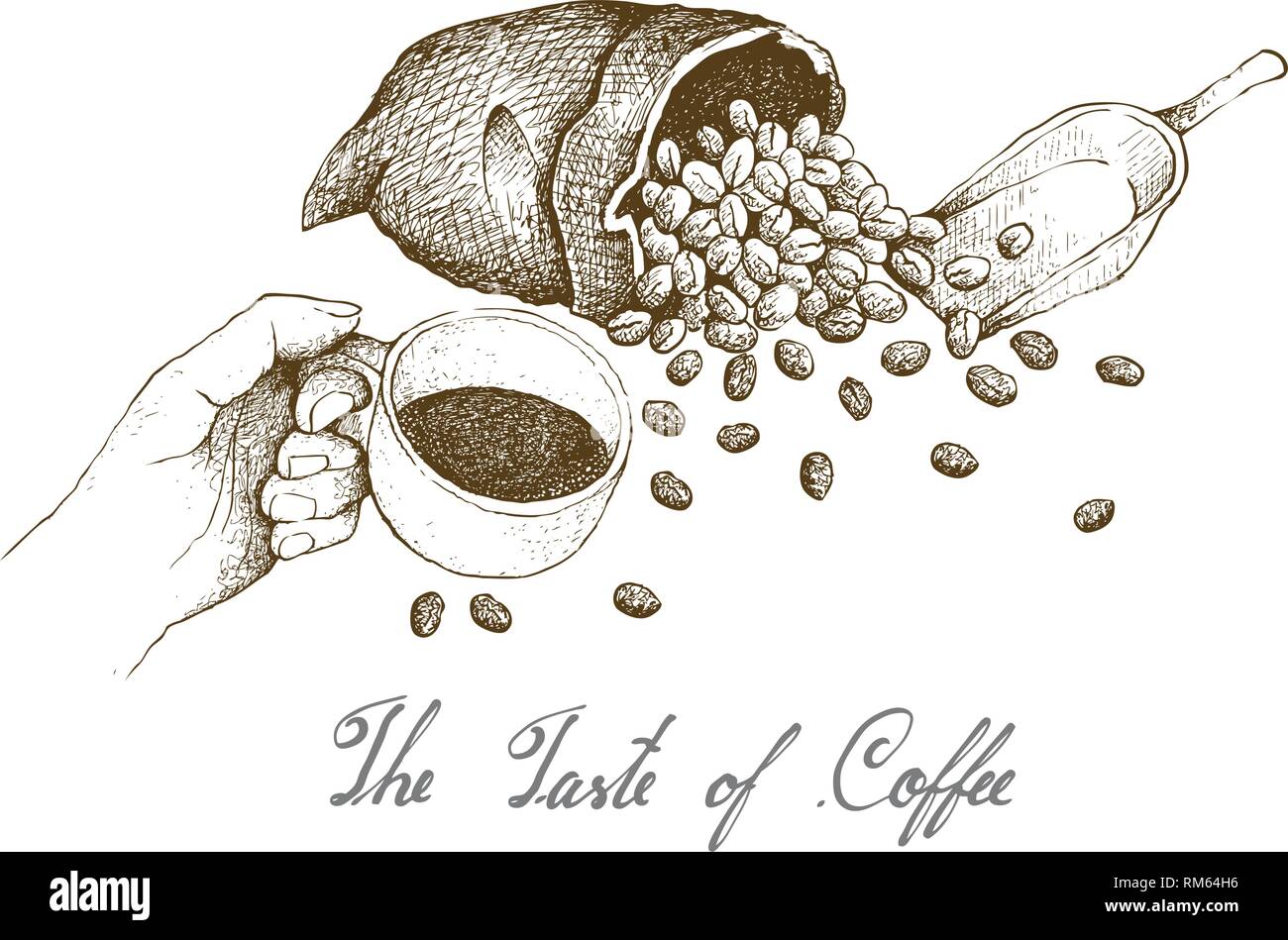 The Taste Of Coffee Illustration Hand Drawn Sketch Of Hand Holding A Cup Of Coffee With Roasted Coffee Beans In A Canvas Bag Isolated On White Backgr Stock Vector Image Art