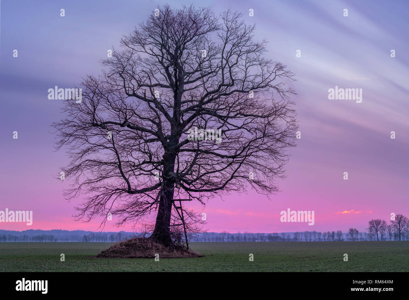 Morgen rot hi-res stock photography and images - Alamy