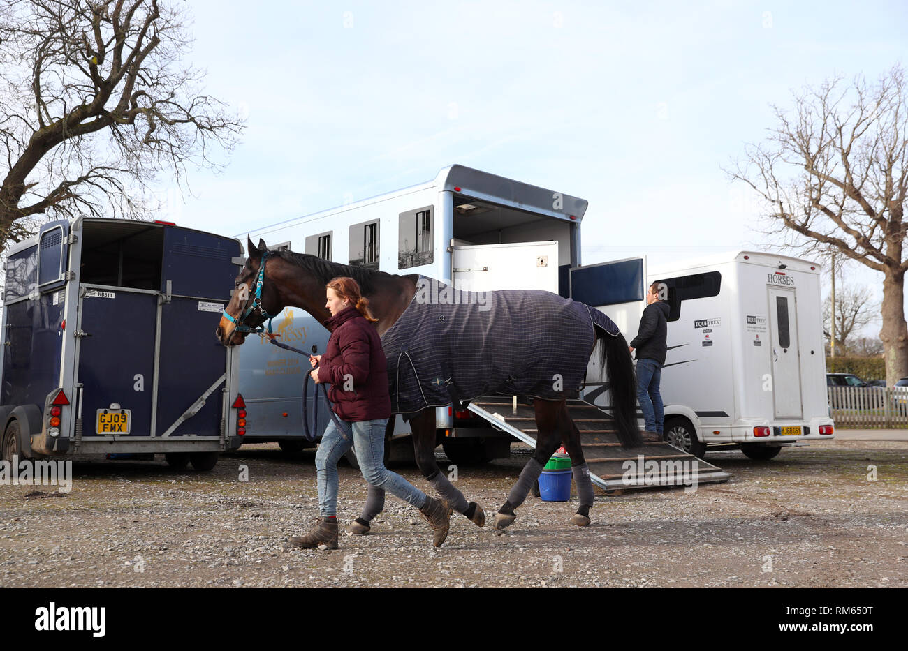 A horse is let out of a horsebox during Injured Jockeys Fund Charity  Raceday at Plumpton Racecourse Stock Photo - Alamy