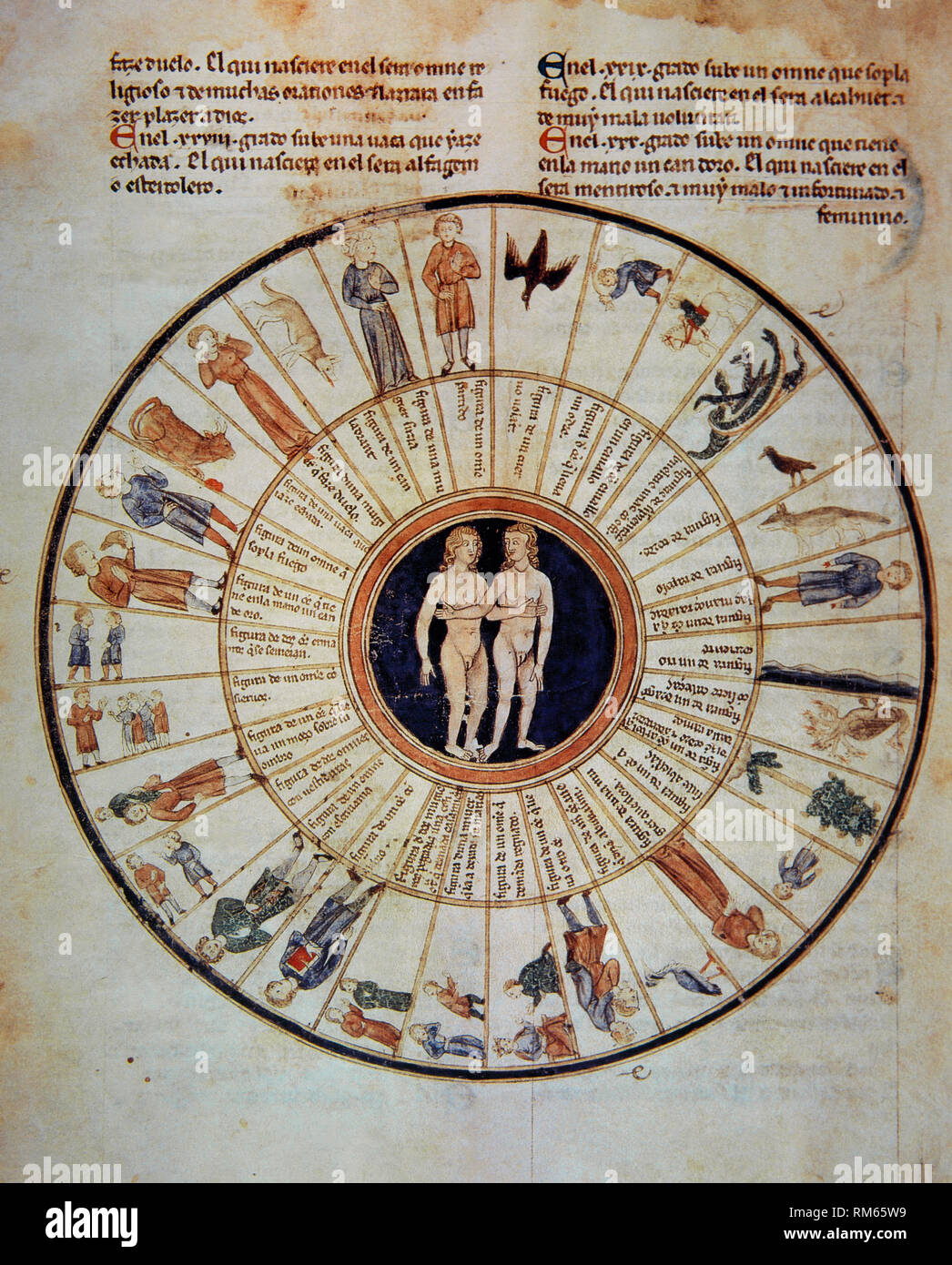 Astrological Treatise c. 1300. Manuscript (Reg. lat. 1283, fol 2v). The manuscript contains an astrological treatise translated to Spanish from an eleventh century Arabic text. Constellation of Gemini with Paranatellonta. Sign of Gemini is depicted in the centre surrounded by the constellations related to this zodiacal sign. Tratado de astrologia y magia, by Alfonso X el Sabio. Vatican Library, Vatican City. Stock Photo