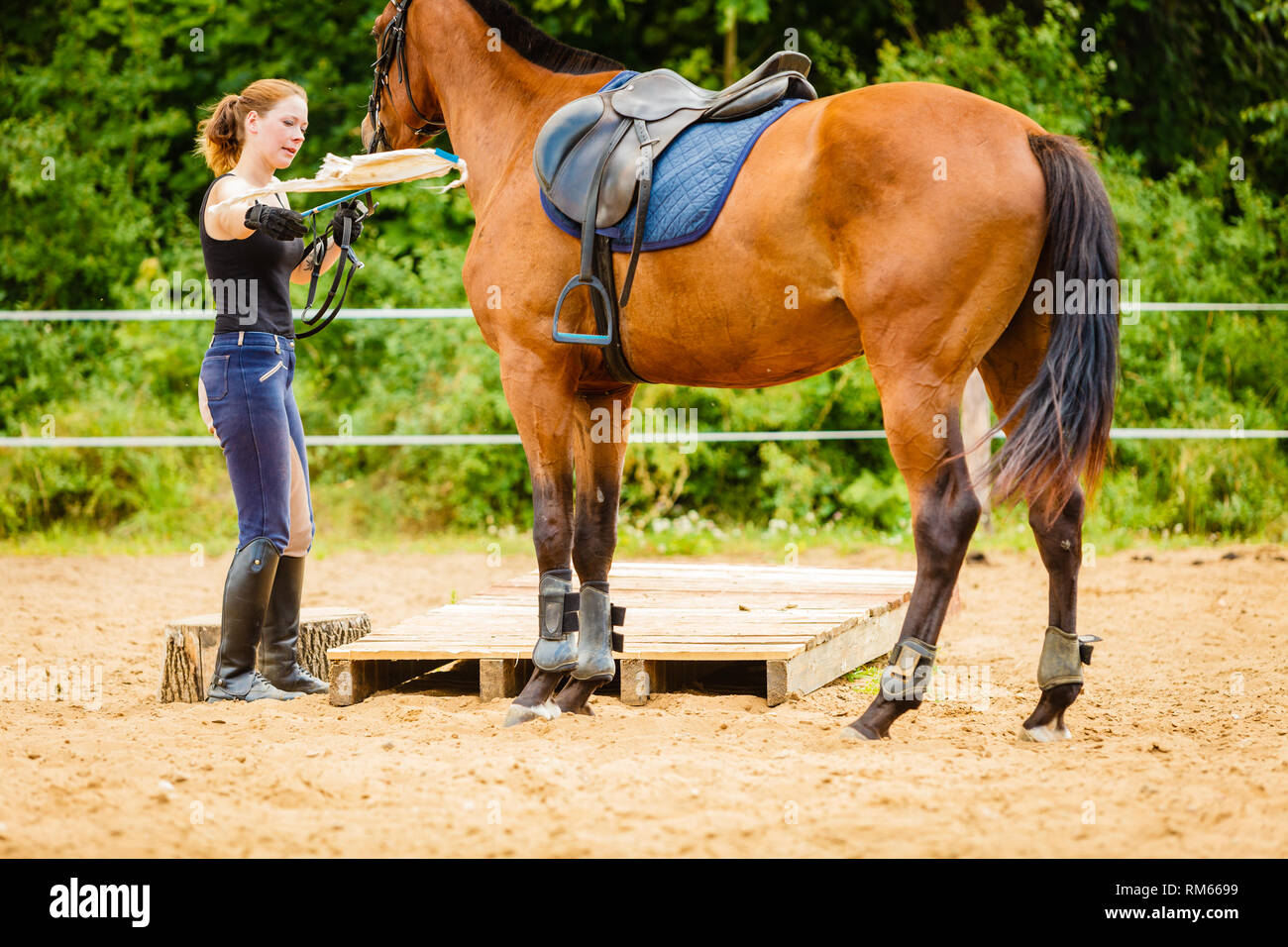 Taking care of animals, horsemanship, equine concept. Jockey young