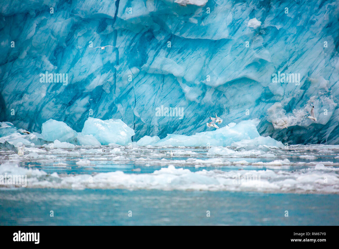 The ice of blue icebergs contains fewer air bubbles than those appearing more or less white. On rainy days their colour appears particularly intense.  Stock Photo