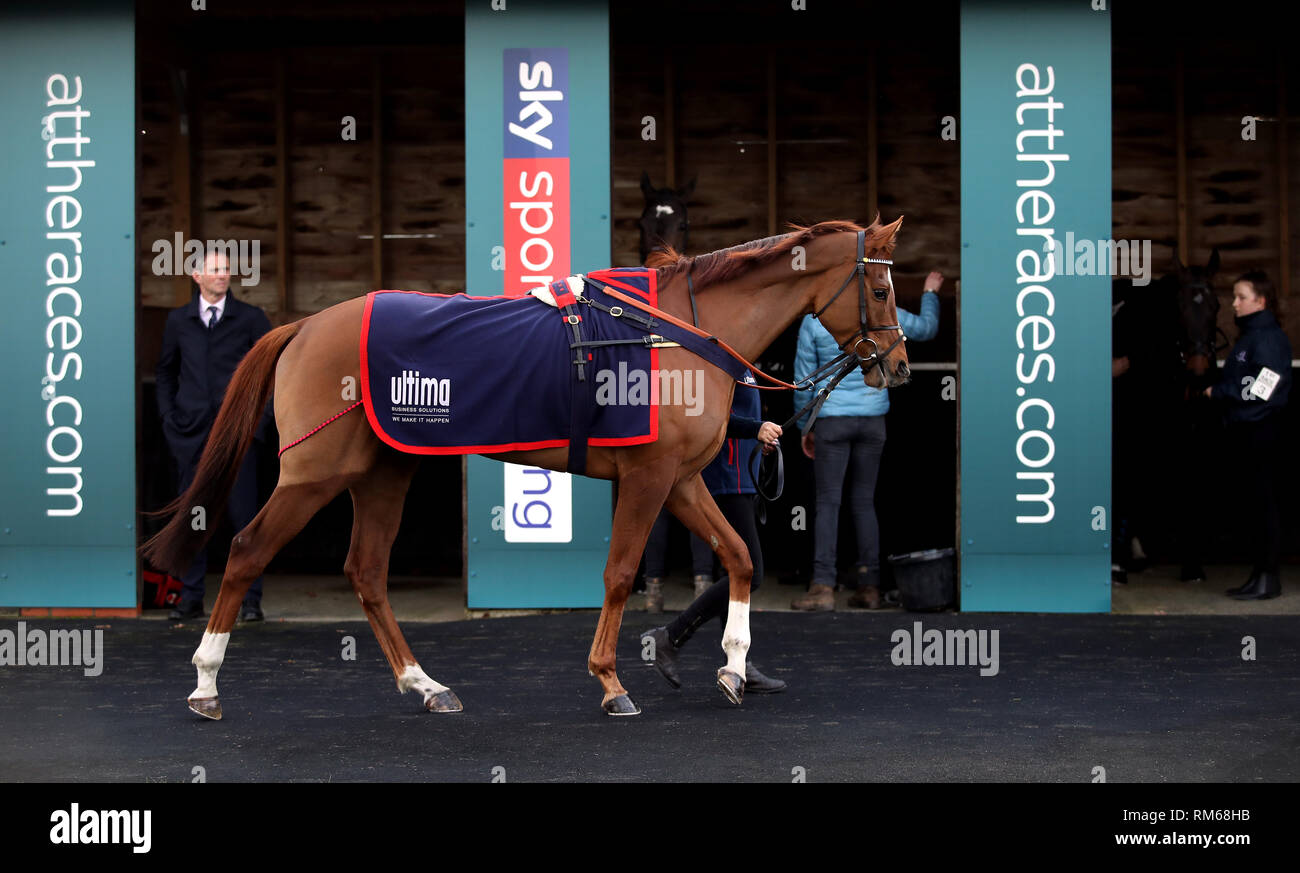 A horse is led around the parade ring before the first race during the ...